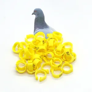 Vente en gros anneau ouvert en plastique avec chiffres avec impression anneaux de jambe ouverts pour canars oiseaux vivants à vendre
