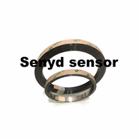 Sensor Codificador Magnético Incremental de Banda Magnética Absoluta, Escala Lineal para Control de Movimiento Lineal en Máquinas de Doblado