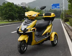 Sıcak satmak elektrikli üç teker motoru elektrikli scooter 3 üç tekerlekli engelli 2 kişi için