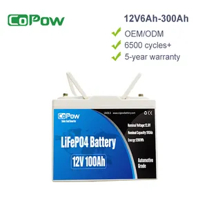 Pabrikan Kemasan Baterai Surya Lithium Li-ion 12V 200Ah Lifepo4 Baterai Ion Litium 12V Harga Baterai Siklus Dalam