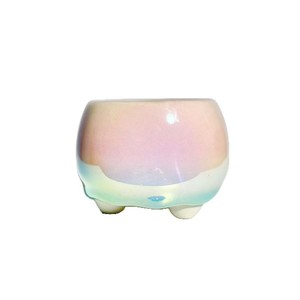 Pot de fleurs pour plantes succulentes avec poignée torsadée, couleur fantaisie, électroplaqué, nacré éblouissant, respirant et résistant à la corrosion - Product Image 1