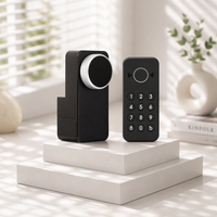 Système de maison intelligente, serrure de porte biométrique électronique sans fil, serrure intelligente TTlock, serrure numérique pour porte double en bois