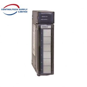 Module d'entrée de tension analogique Multilin IC694ALG220 - Product Image 2