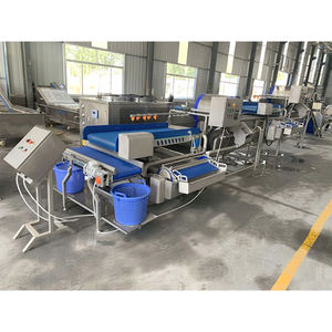 Línea de Procesamiento Rápido Totalmente Automática para Clasificación, Corte, Lavado y Secado de Frutas y Verduras - Product Image 1