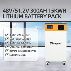 Tewaycell AO ESS 48V 51.2v 300Ah 15KWh Onduleur intégré 5KW Batterie lithium-ion pour le stockage d'énergie domestique