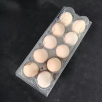 Plateau à œufs en plastique PET écologique et durable à 10 alvéoles, carton d'emballage transparent jetable pour œufs, promotion en gros pour les fermes avicoles