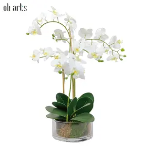 Wedding Decoration Flower Ball Centerpieces With White Orchid Flower For Outdoor Indoor Decoration