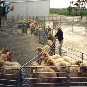 New Zealand Thép Mạ Kẽm Di Động Corral Hàng Rào Cừu Sân Tấm Động Vật Thùng Với Hình Bầu Dục Ống Hàng Rào & Trellis Cổng - Product Image 4