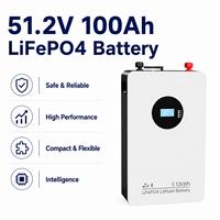 Batterie de stockage d'énergie domestique LiFePO4 51,2 V 100 Ah, grande capacité, batterie ESS, BMS intelligent, vente directe d'usine OEM