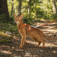Produits pour animaux de compagnie Marque privée OEM Ensemble Harnais et laisse pour chat réglable, style sport et mode, en polyester, anti-évasion, longueur extensible, type gilet de promenade