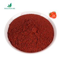Lycopène de tomate Wellnature 10% Solanum Lycopersicum (tomate) Extrait de fruit Poudre de lycopène