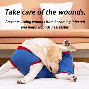 Traje de recuperación <span class=keywords><strong>para</strong></span> <span class=keywords><strong>perros</strong></span>, monos <span class=keywords><strong>para</strong></span> gatos <span class=keywords><strong>para</strong></span> heridas abdominales, <span class=keywords><strong>camisa</strong></span> de recuperación <span class=keywords><strong>para</strong></span> hombres y mujeres, traje quirúrgico <span class=keywords><strong>para</strong></span> mascotas - Product Image 4