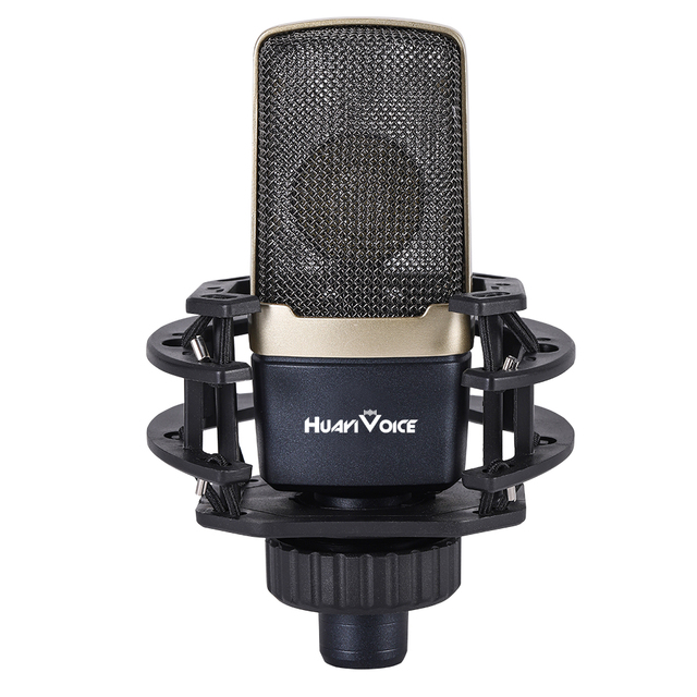 2024 OEM ODM Professional Condenser Microphone Studio Microphone for Recording Wired Studio Microphone Broadcasting Equipment