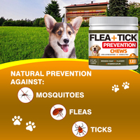 Comprimés à mâcher anti-puces pour animaux de compagnie, saveur poulet, 120 unités, pour chiens et chats, protection longue durée, en stock, vente chaude