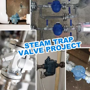 CS41H PN16 Stainless Steel Cast Steel Free Float Flange Steam Trap Valve