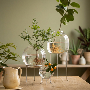 Porte-plantes en verre élégant avec support Design moderne pour exposer les plantes et ajouter un décor élégant à votre maison - Product Image 1