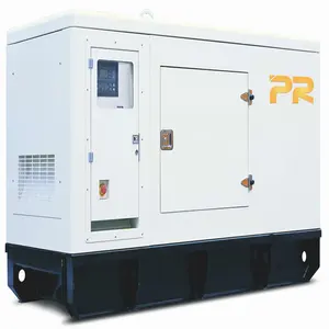 Silent/Open Type Electric Generator Diesel 20kw to 500kw 50Hz/60Hz Alternator Stamford Container Type with 1000kw