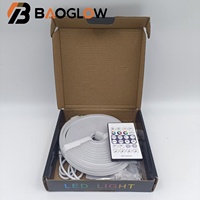 Tira de Luces LED RGBIC de Neón con Control Remoto, Resistentes al Agua IP67, USB 5V, Cambio de Color, para Decoración de Festivales al Aire Libre
