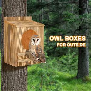 Ama-Zon <span class=keywords><strong>Hot</strong></span> Verkoop Fabriek Buiten Tuin Kamer Kit Vogel Nest Box Huis Voor Duif - Product Image 3