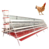 Soluciones para Jaulas de Pollos en Estado Nuevo para la Producción de Carne y la Optimización de Granjas