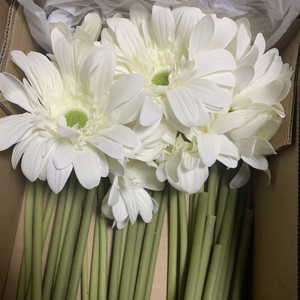 Chất Lượng Cao Nhân Tạo Bất Cảm Ứng Đồng Tiền Hoa Cúc Hoa Duy Nhất Thân Cây Phong Cách Cho Đám Cưới Trang Trí Nội Thất Bảng Trung Tâm - Product Image 1