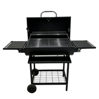 Barbecue au charbon de bois NL Modern Premium avec structure pliable en fer thermolaqué, roulettes et table double face pour usage domestique et extérieur