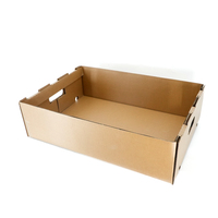 Caja de Embalaje de Cartón Corrugado para Frutas y Verduras con Logotipo Personalizado, Resistente, para Envío de Aguacates, Papel Biodegradable