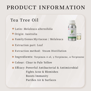 Huile d'arbre à thé 100% pure, fabricant d'huiles essentielles en gros et fournisseur en vrac, qualité cosmétique pour la peau, huile d'arbre à thé en vrac - Product Image 2