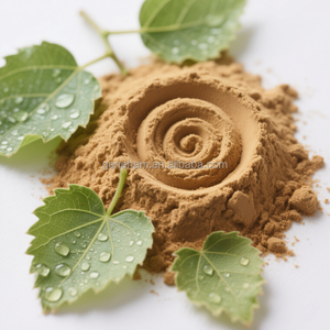 Toptan 1-DNJ 1% gıda sınıfı dut yaprağı ekstresi HACCP sertifikalı özel etiket ambalaj tozu formu bitki özü ürün - Product Image 3