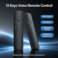 Control Remoto de 12 Teclas con Activación por Voz para Smart TV LCD, Android TV Box, Carcasa Personalizada OEM ODM, Suministro de Fábrica