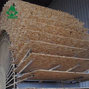 Panneau personnalisé 4x8 <span class=keywords><strong>OSB</strong></span> 3 15mm étanche pour meubles et sols <span class=keywords><strong>OSB</strong></span> 3 15mm - Product Image 5