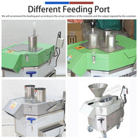 Industriële roestvrijstalen verticale fruitsnijder/snijmachine FC-311 met hoge capaciteit voor restaurants en voedselverwerking