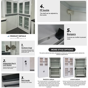 <span class=keywords><strong>Armoire</strong></span> à <span class=keywords><strong>pharmacie</strong></span> en acier massif, résistante aux acides et aux alcalis, non absorbante, avec étagère réglable et serrure à clé, prix usine - Product Image 5