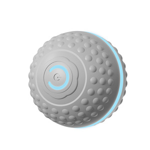 Electric Gravity Pet Ball Automatic Dog Walking Toy <b>Bite</b> Resistant For Small And Large Dogs - Product Image 3