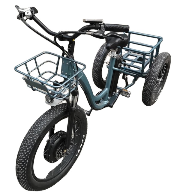 48v 500w 750w 1000w Front Drive Motor 10 -19.2 Ah Lithium Battery Powered Cargo Fat Tire 3-wheel Assisted Bicycle E Bike