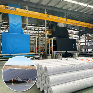 <span class=keywords><strong>BPM</strong></span> Geosynthetics HDPE Geomembrana Barrera de raíz de Bambú - Product Image 6