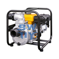 Outil de pompage portable haute efficacité 4,2 kW 220 V pour eau propre 50 Hz/60 Hz pour l'irrigation agricole et l'arrosage des vergers, puissance stable