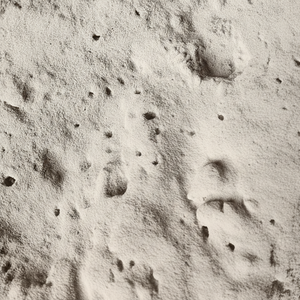 Cenizas volantes de clase F de Vietnam, puzolánica para hormigón robusto de alta resistencia, precio de fábrica de bajo costo, Exportación a granel eficiente - Product Image 1