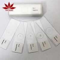 Laboratory customizable microscope biological plant slices botany microscope slides 5pcs set