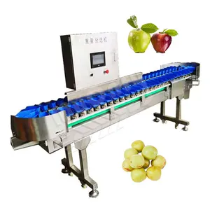 MYONLY Máquina Clasificadora de Verduras Automática, Ligera, Pequeña Cebolla, Piña, Clasificación y Grado