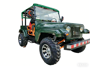 Vehículo Agrícola Automático de Gasolina Eléctrica de 300cc, Gokart 4x4 Tipo Jeep en Venta - Product Image 5