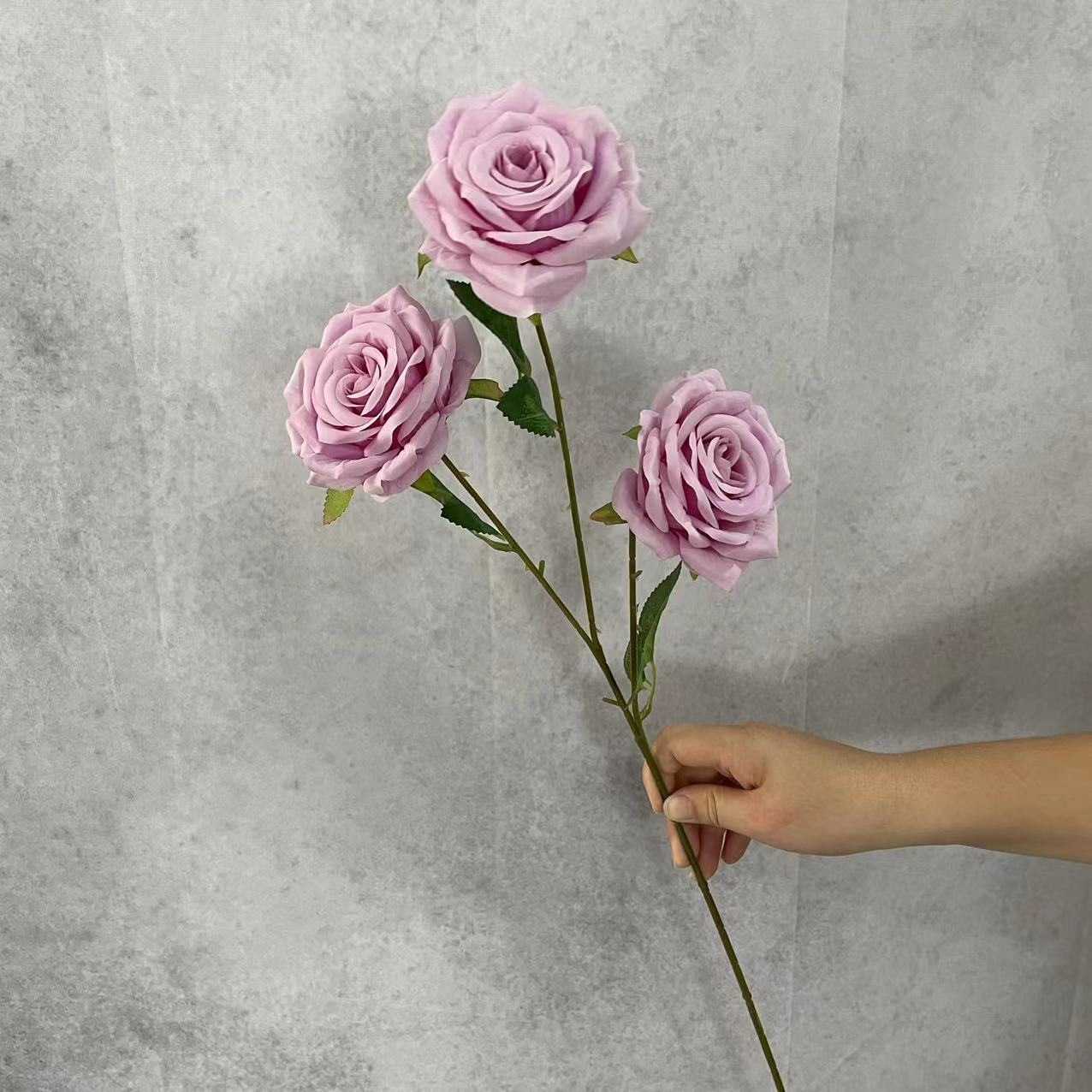 Diamant Rose Violet