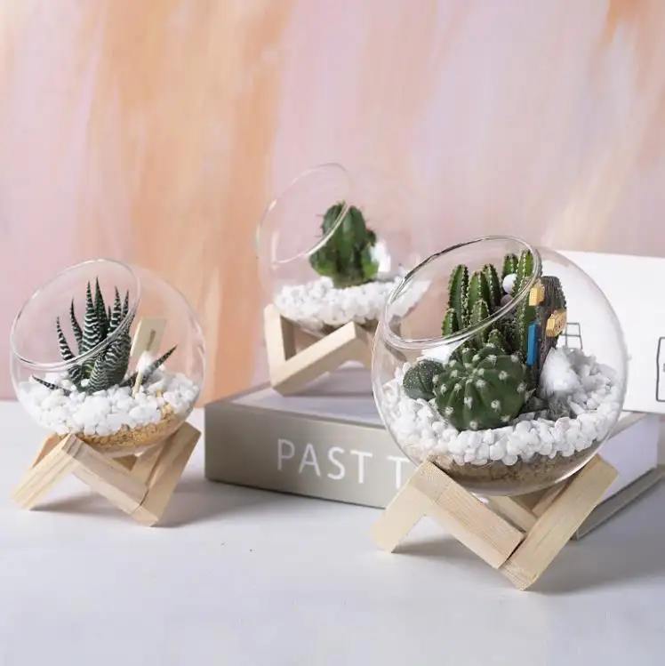 Miniterrario de vidrio en miniatura para Plantas, contenedor de bolas de vidrio con soporte de madera, Terrario, Plantas, decoración artificial