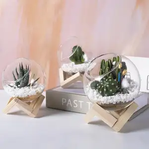 迷你玻璃容器微型植物容器玻璃球，带木制支架植物人工装饰植物
