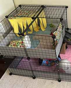 Coussinets absorbants antidérapants et étanches pour chiens, lapins, chinchillas et hamsters - Product Image 3