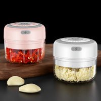 Usb 250/100Ml Vlees Ui Knoflook Groente Chili Mincer Oplaadbare Draagbare Stamper Druk Mini Elektrische Knoflook Chopper