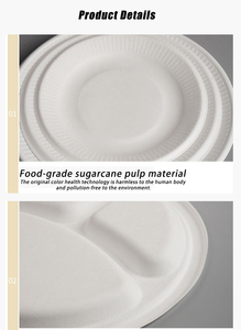 Ensemble de boîtes à lunch écologiques jetables en pulpe de papier biodégradable pour salades, nouilles végétariennes, collations et sucre, avec bols et assiettes couverts - Product Image 5