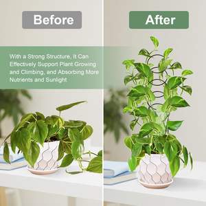 Treillis circulaire en métal de 17,5 pouces <span class=keywords><strong>pour</strong></span> plantes grimpantes d'intérieur et fleurs Hoya, support <span class=keywords><strong>pour</strong></span> petits jardins et plantes en pot - Product Image 3