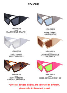 Partagas Fashion Fantaisie Oeil de Chat Designer Logo Personnalisé Irrégulier Monture Surdimensionnée UV400 Nuances Lunettes de Soleil Lunettes de Soleil pour Femmes - Product Image 5