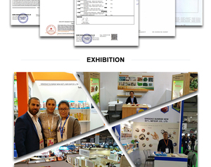 Bún đậu xanh Long Khẩu thương hiệu Sunrise chất lượng cao, bán sỉ - Product Image 5